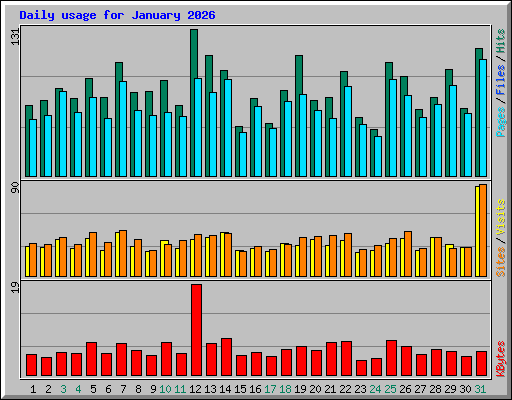 Daily usage for January 2026