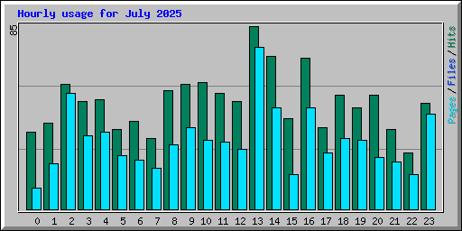 Hourly usage for July 2025