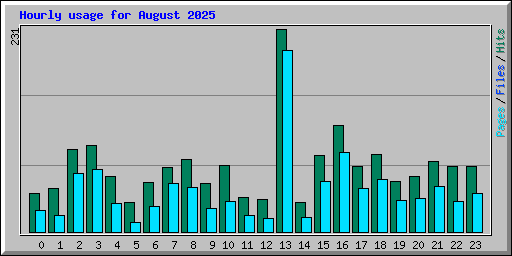 Hourly usage for August 2025