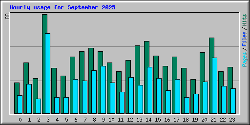 Hourly usage for September 2025
