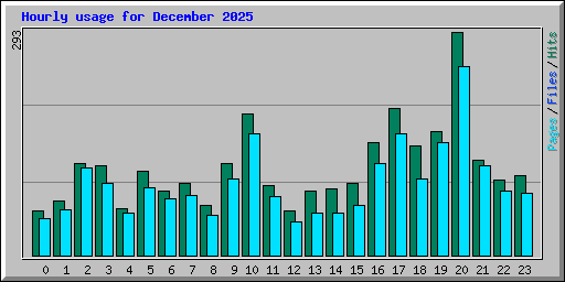 Hourly usage for December 2025