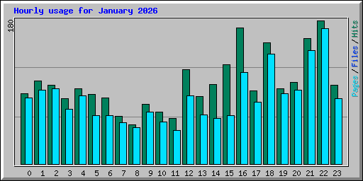 Hourly usage for January 2026