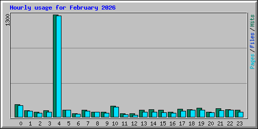 Hourly usage for February 2026